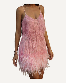 Sequin Mini Dress with Feather Trim Party and Evening Dress